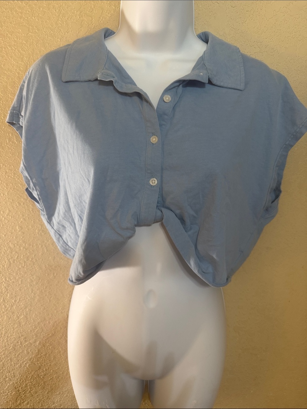 Madewell Light Blue Cropped Button-Up Top